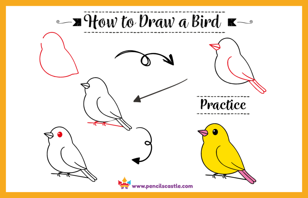 How to Draw a Bird