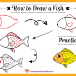 how to draw a fish