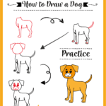 how to draw a puppy dog