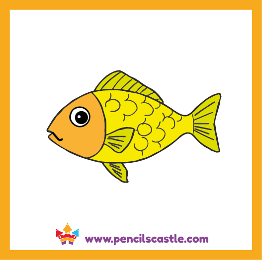 color the fish