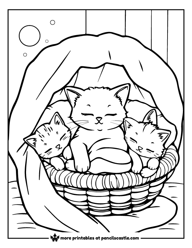 cat and kittens sleeping in a basket