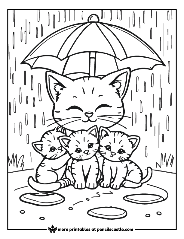 kittens under umbrella with rain and puddles