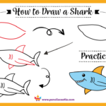 How to Draw a Shark