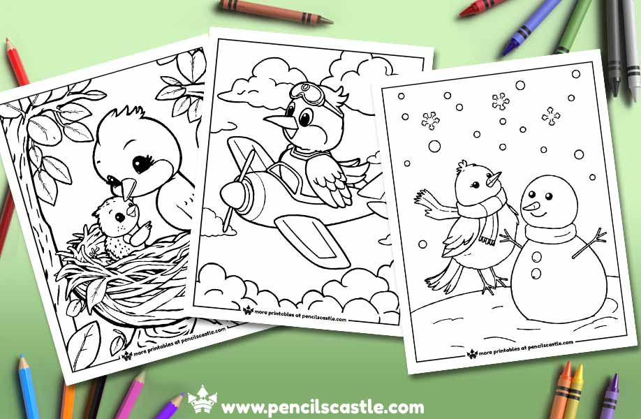 preview of 3 bird coloring pages with pencils and crayons on a green background