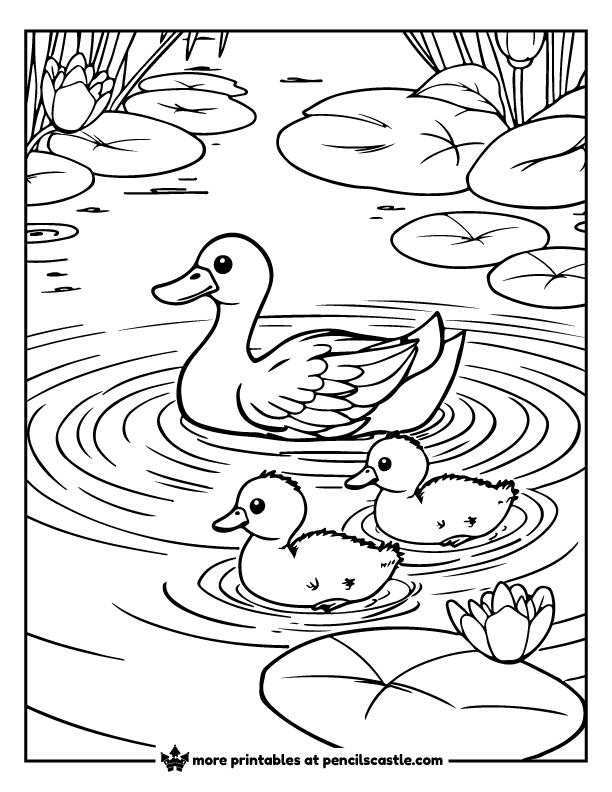 duck and ducklings on a pond coloring page