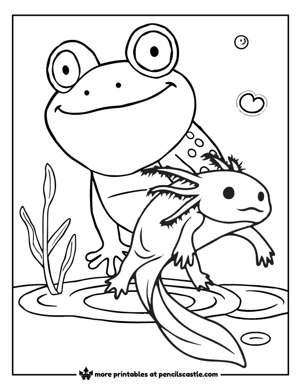 axolotl swimming with a frog coloring page