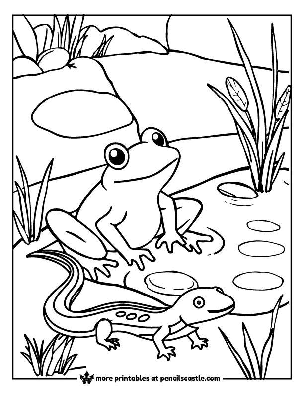 newt and a frog near a pond coloring sheet