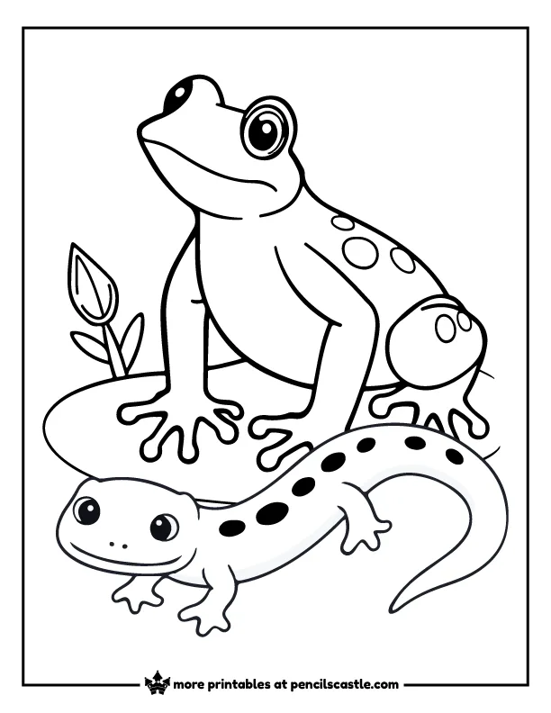 salamander sitting next to a frog coloring sheet