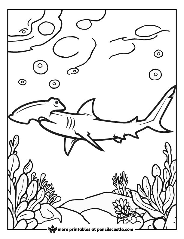 hammerhead shark coloring page