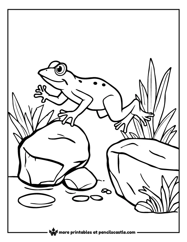 frog leaping from one rock to another coloring sheet