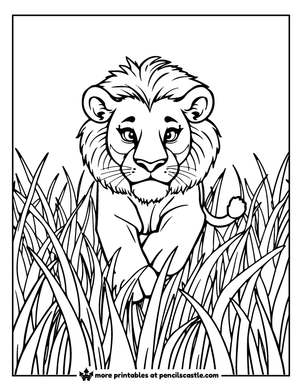 focused lion stalking through tall grass coloring sheet