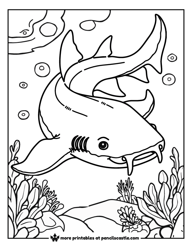 nurse shark coloring sheet