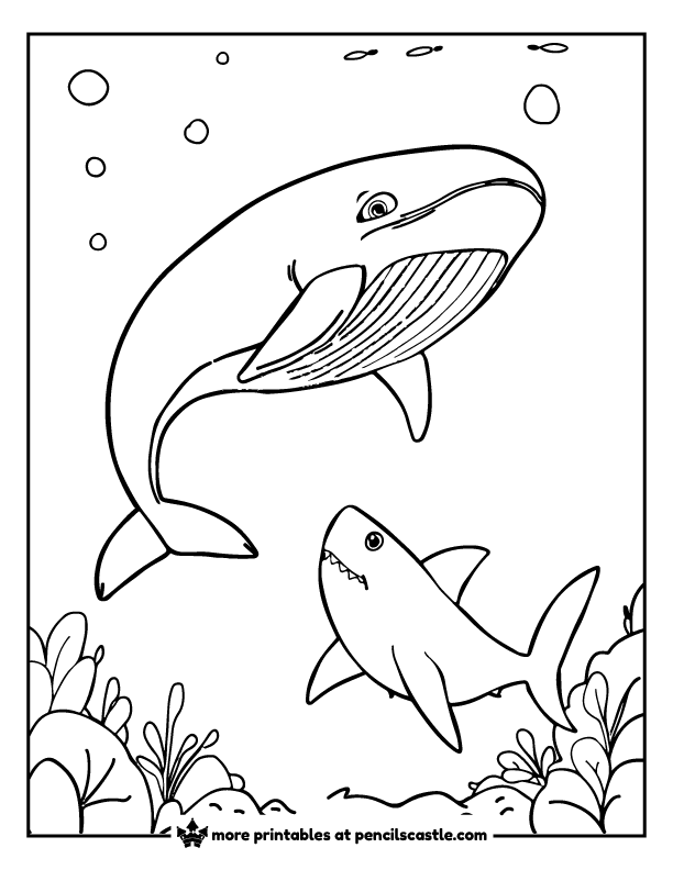 shark watching a whale coloring page