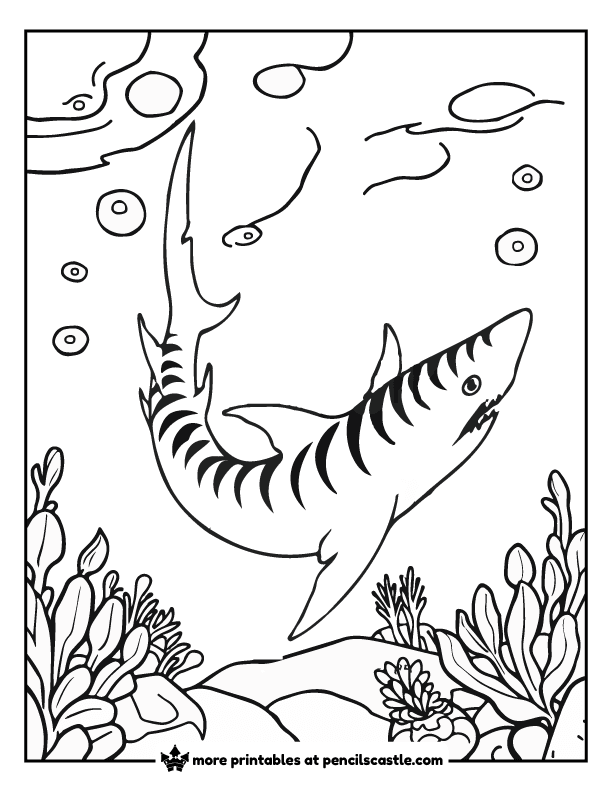 striped tiger shark coloring sheet