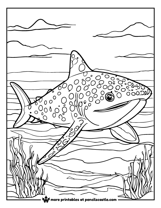 whale shark coloring page