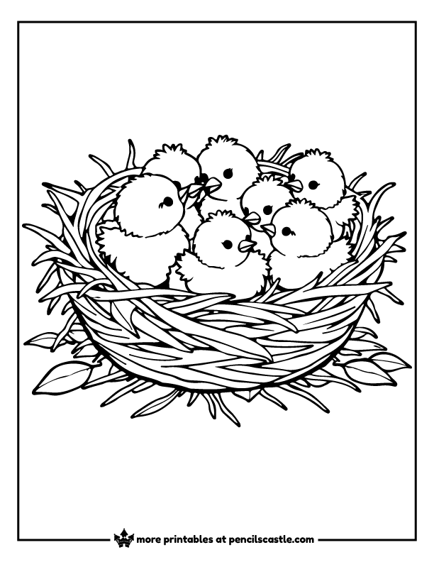 baby chicks in a nest coloring sheet 