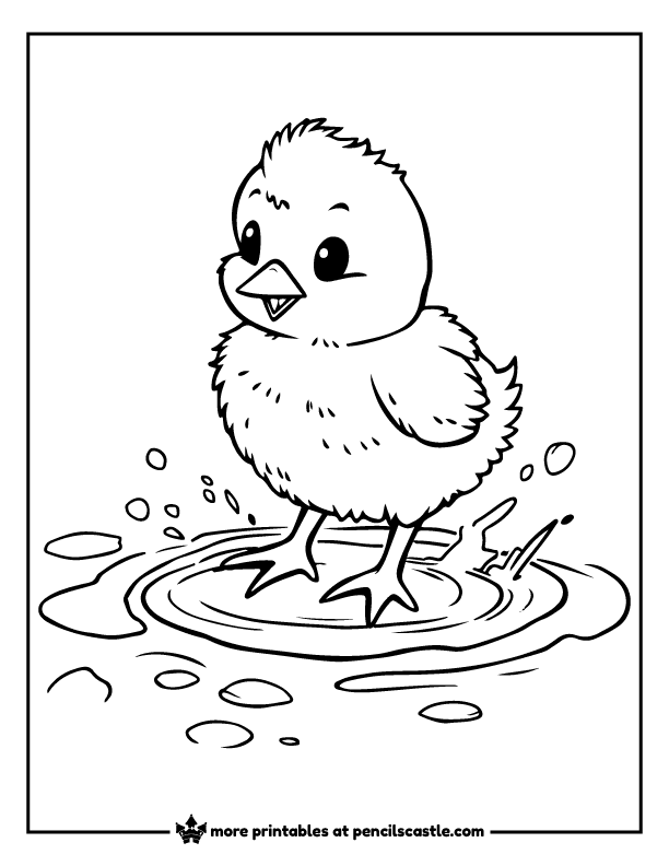 baby chick splashes around in a puddle coloring sheet