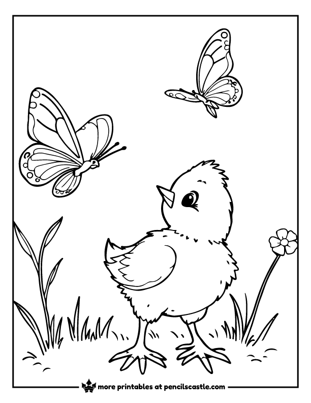 baby chick watching butterflies coloring page