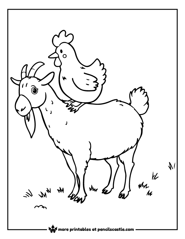 chicken riding on a goat’s back coloring page