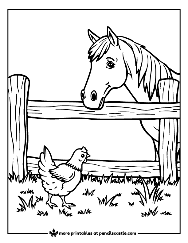 chicken watching a horse at the fence coloring sheet