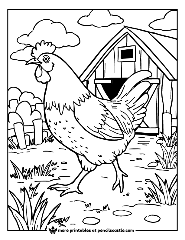 chicken walks around the barn coloring sheet