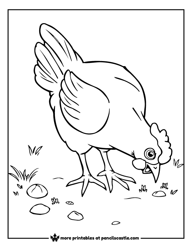 hen pecking the ground coloring sheet