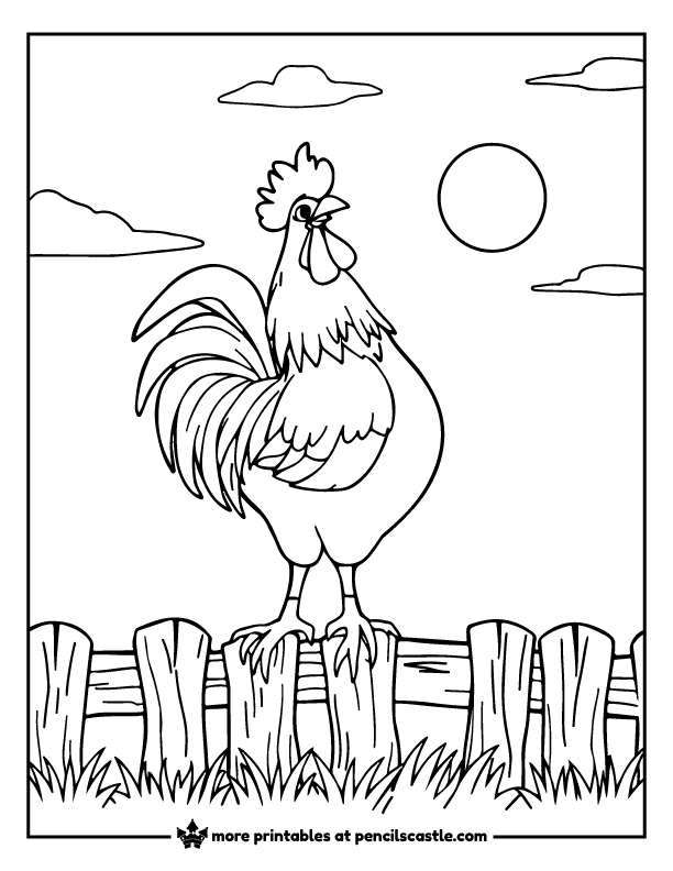 rooster standing on a fence coloring page