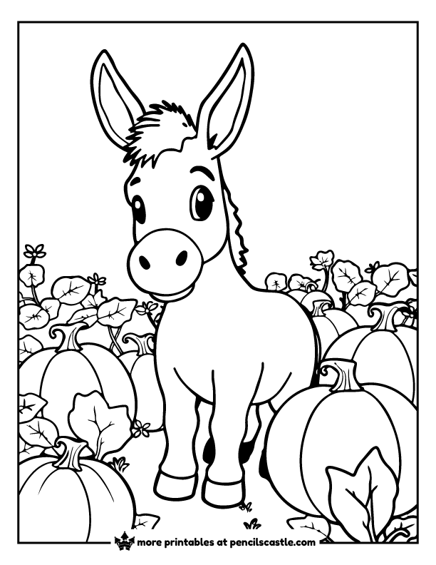 donkey standing in a field of pumpkins coloring page