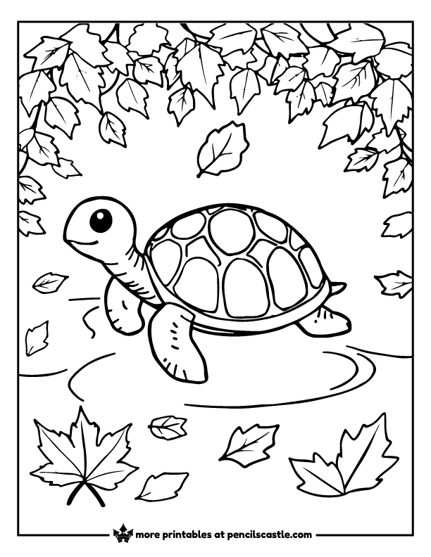 Turtle surrounded by autumn leaves coloring page