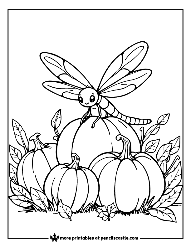 Dragonfly sitting on pumpkins in fall coloring page