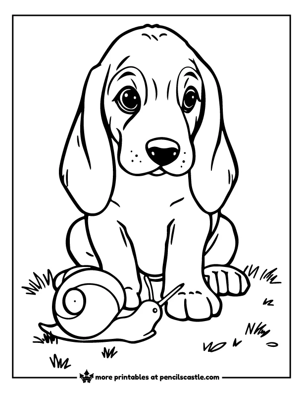 Basset Hound puppy sitting next to a snail coloring page