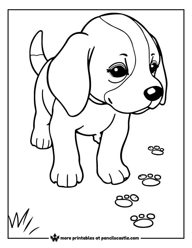 Beagle puppy following paw prints coloring page