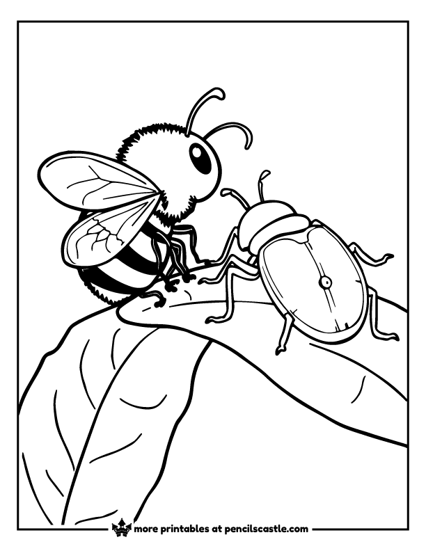 bee and a beetle playing on a leaf coloring sheet