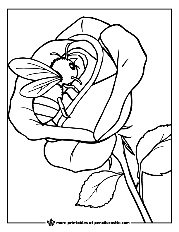 bee resting on the petal of a blooming rose coloring page