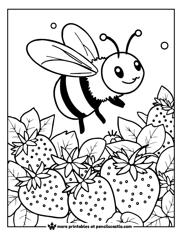 bee hovering over strawberries coloring sheet