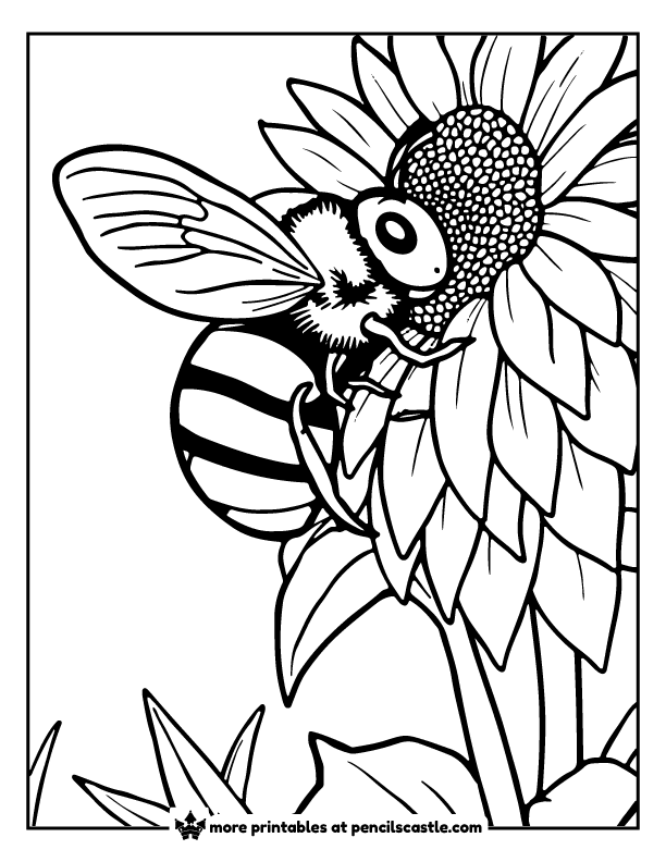 bee happily landing on a sunflower coloring page
