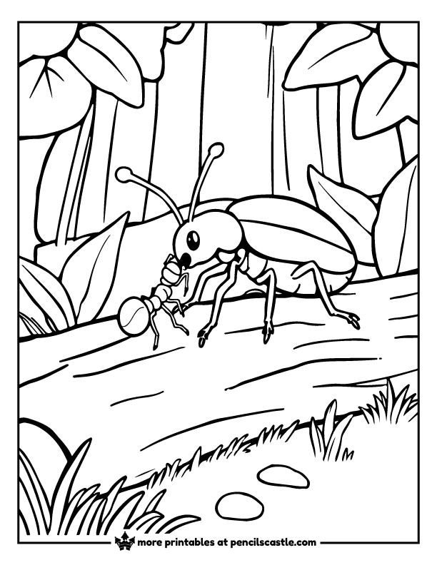 beetle meeting an ant on a tree log coloring sheet