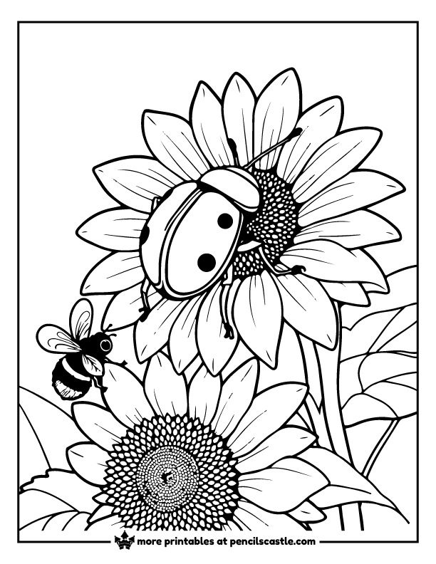beetle perched on a sunflower beside a bee coloring page