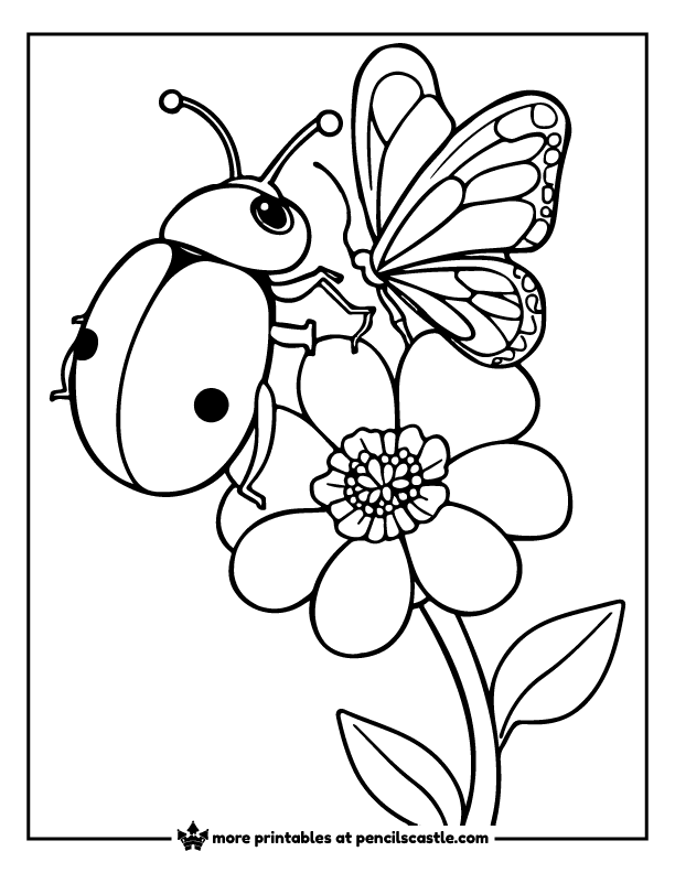 beetle and a butterfly resting on a flower coloring page