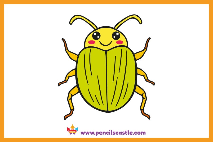 Beetle drawing with antennae