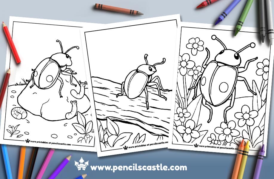 three beetle coloring pages with pencils and crayons on a dusty blue background