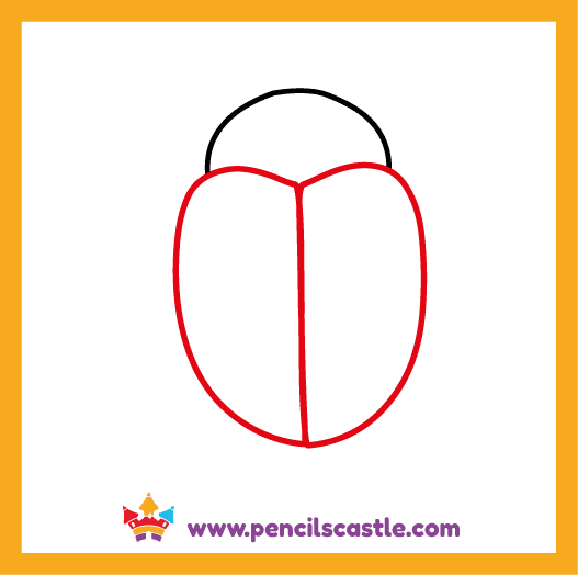 Draw the beetle's body outline