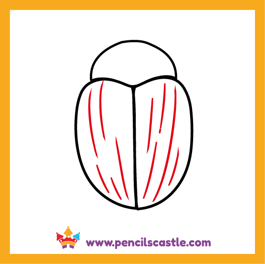 Draw the shell's texture of the beetle