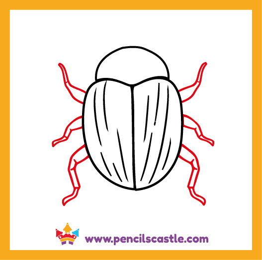 Add the legs to your beetle