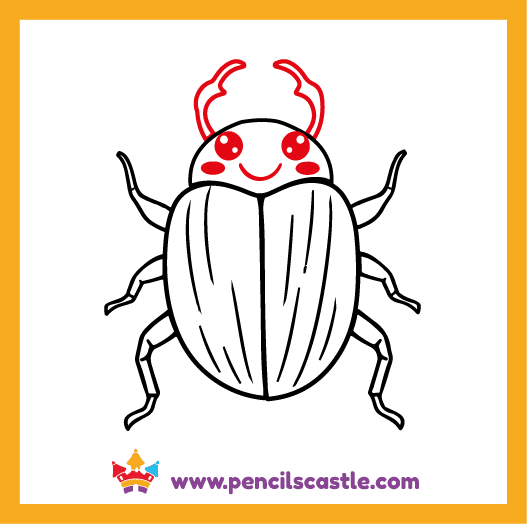 Draw the beetle's face details 