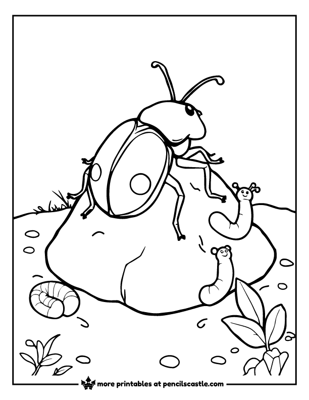 beetle on a compost pile with worms coloring sheet