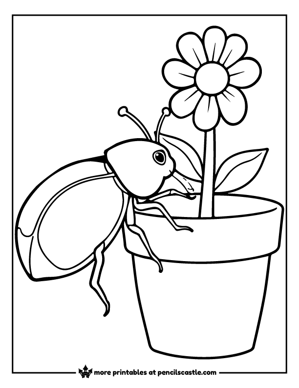 beetle crawling on a flower pot coloring sheet