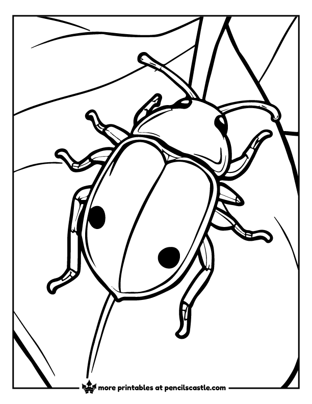 beetle resting on a big leaf coloring sheet