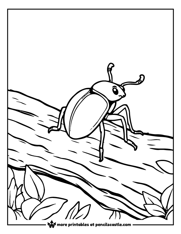 beetle crawling on a tree log coloring page