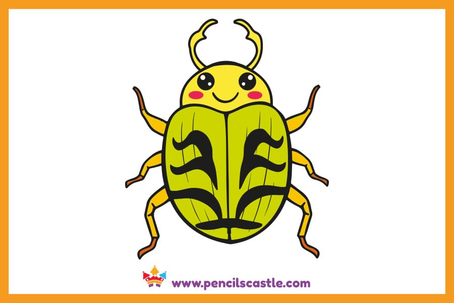 Beetle drawing with a patterned shell